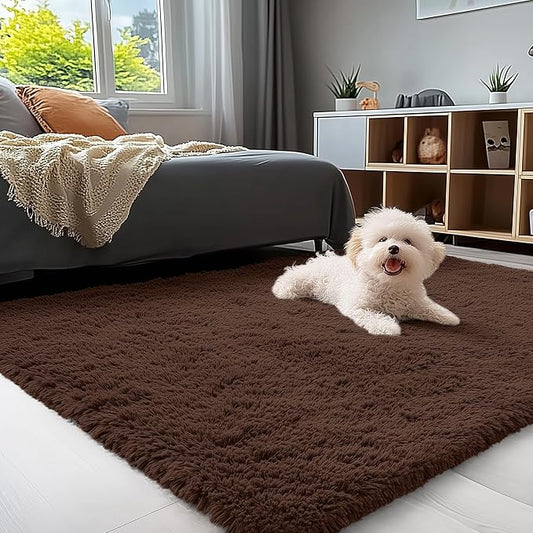 OLANLY 4x5 Machine Washable Accent Rug, Soft Fluffy Shaggy Area Rug for Bedroom, Living Room, Indoor Floor Carpet for Kids, Nursery, Home Decor, Coffee