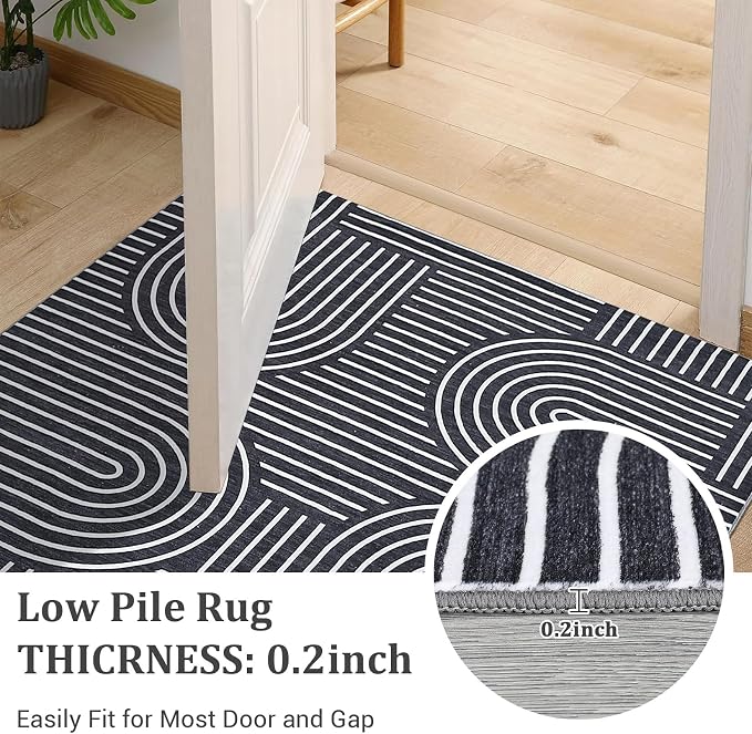 Washable 4x6 Modern Black Small Area Rug for Living Room Modern Geometric Lines Accent Rug Non Slip Office Small Carpet Thin Foldable Boho Rainbow Indoor Floor Mat for Bedroom Kitchen, Black