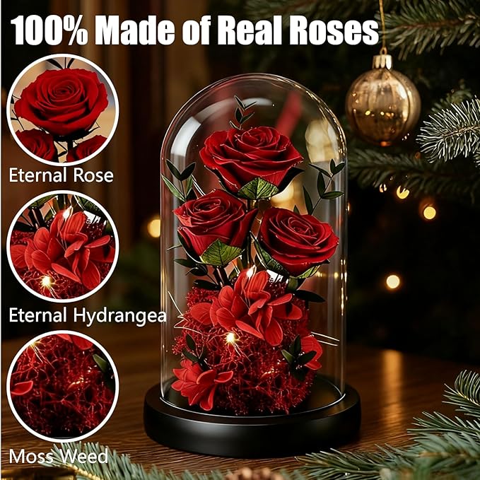 Birthday Gifts for Women Mom Fresh Flowers for Delivery Prime Forever Preserved Rose in Glass Dome Gifts for Her Girlfriend Grandma Daughter Wife Valentines Mothers Day Christmas Anniversary-Red