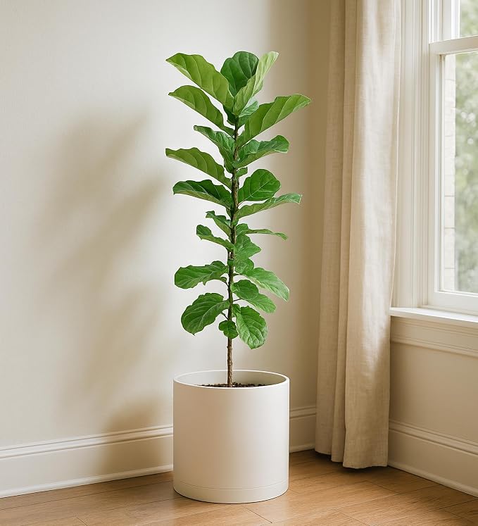 D'vine Dev 12 Inch Plastic Planter Pots for Plant Pot with Drainage Hole and Seamless Saucers, Oatmeal, 74-X-H-3