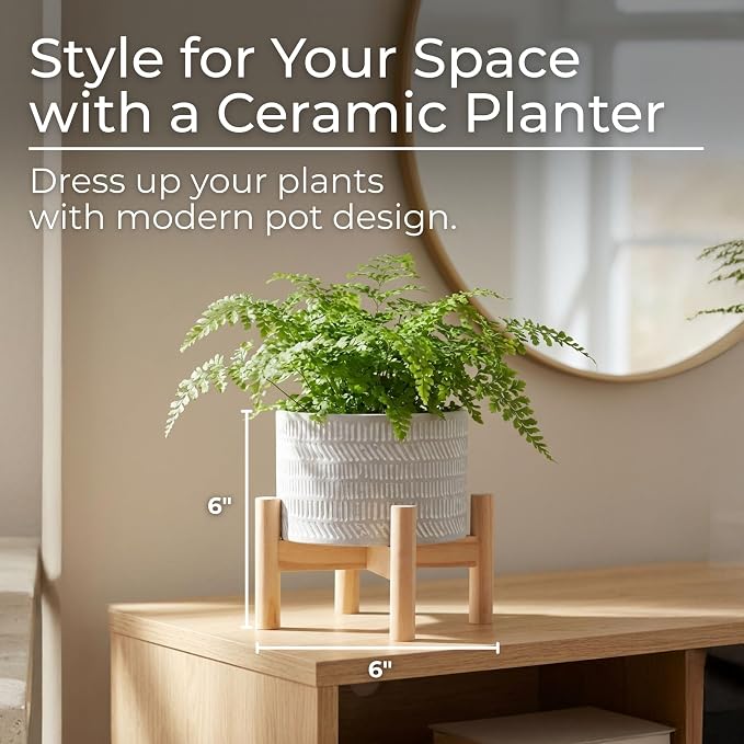 Stoneware Planter With Wood Stand – Plant Stand Indoor For Small Greenery, for Shelf, Table, or Windowsill, Modern Patterned Planter With Plant Riser Accent Home Decor – 6", Ivory Tan