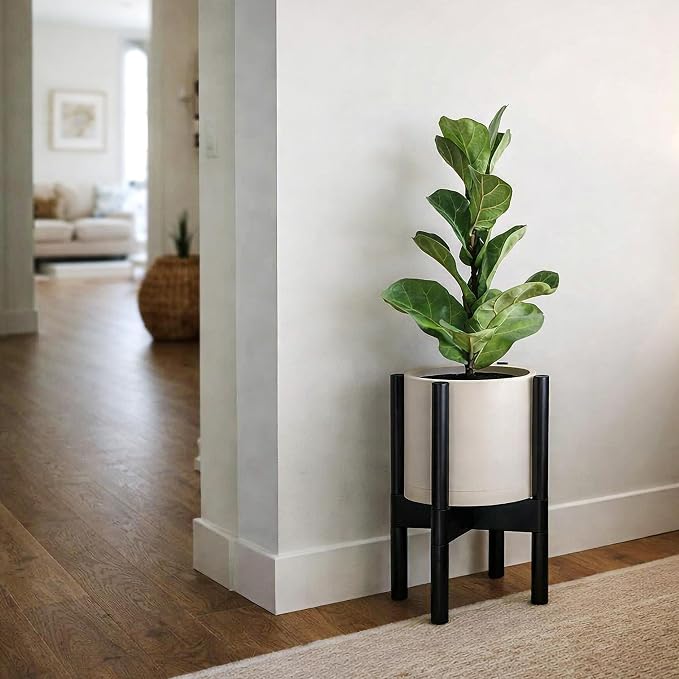 D'vine Dev Planter Pot with Stand - 8 Inch Plastic Cylinder Flower Pot with Wood Planter Holder for Indoor, Oatmeal Pot + Ebony Stand, 55-C-K-4