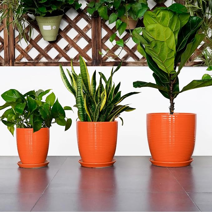 10 Inch Plant Pot, Ceramic Planters for Plants with Drainage and Saucer, Orange