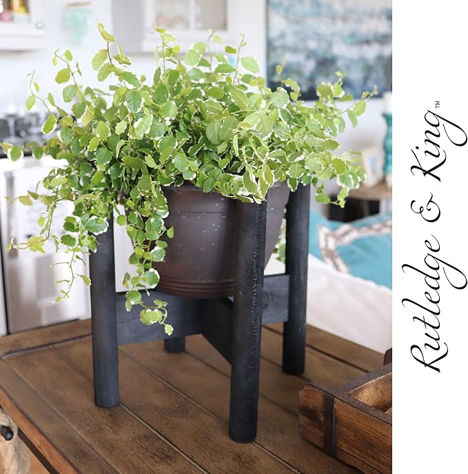 Rutledge & King Mid Century Plant Stand - Modern Plant Stand - Indoor Plant Stand - Wooden Plant Stand - Plant Holder (Small, Aberdeen/Black)