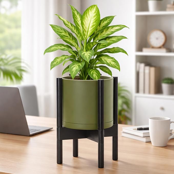 D'vine Dev Planter Pot with Stand - 8 Inch Plastic Cylinder Flower Pot with Wood Planter Holder for Indoor, Olive Pot + Ebony Stand, 55-C-K-3