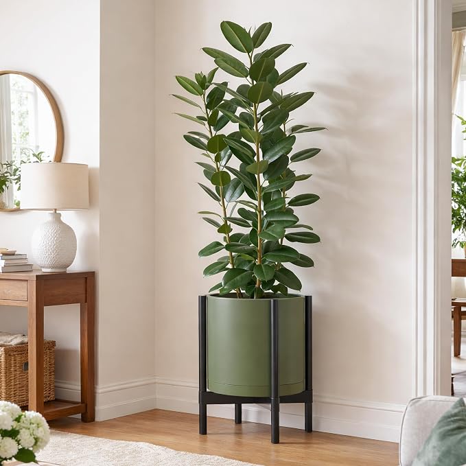 D'vine Dev Planter Pot with Stand - 14 Inch Plastic Cylinder Flower Pot with Wood Planter Holder for Indoor, Olive Pot + Ebony Stand, 55-C-T-3