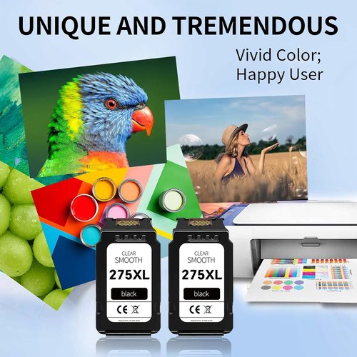Canon 275XL Ink Cartridge Replacement - High-Yield Black Ink for PIXMA Printers | 2-Pack