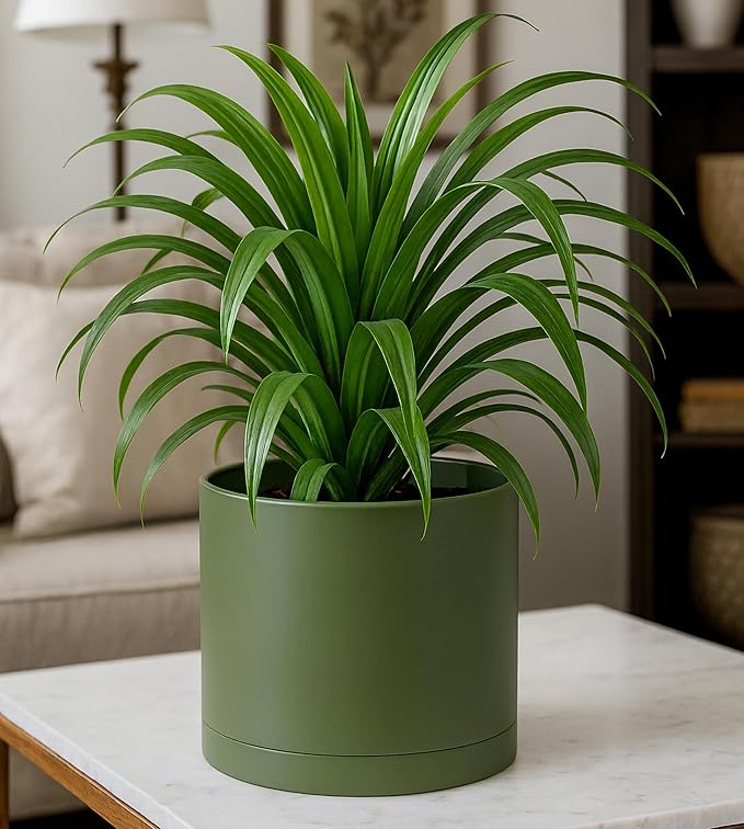 D'vine Dev 8 Inch Plastic Planter Pots for Plant Pot with Drainage Hole and Seamless Saucers, Olive, 74-X-I-1