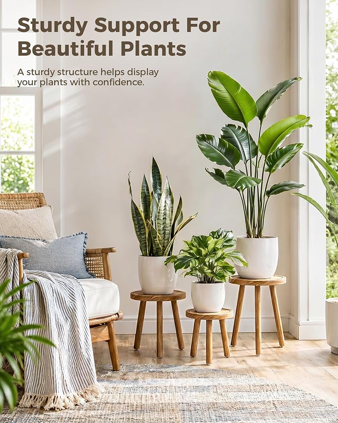 Bamworld 3 Pack Plant Stand Indoor Single Plant Stand for Multiple Plants Corner Plant Stool Wooden Plant Stands for Patio Garden Balcony Living Room Bedroom(Nature)