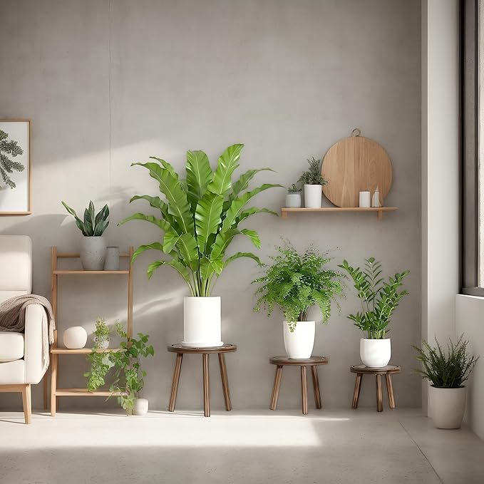 3-Pack Wood Plant Stands Indoor, Single Plant Stand for 6-12 Inch Pots, Mid-Century Modern Plant Stool, Tall Plant Stand for Large Plants Perfect Fit for Living Room, Balcony, Office