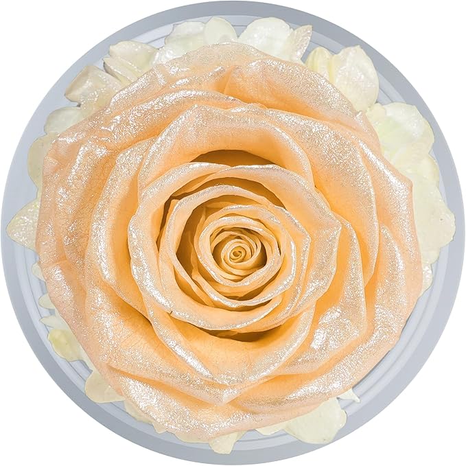 Sunia Preserved Flower Rose Gift for Women - Mother's Day Birthday Gifts for Mom Wife Grandma, Glass Angel Figurines Forever Real Roses Gifts for Her Valentine Day Thanksgiving﻿ (Sparkling Champagne)