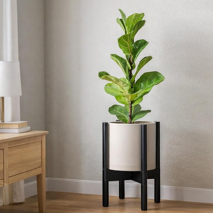 D'vine Dev Planter Pot with Stand - 8 Inch Plastic Cylinder Flower Pot with Wood Planter Holder for Indoor, Oatmeal Pot + Ebony Stand, 55-C-K-4