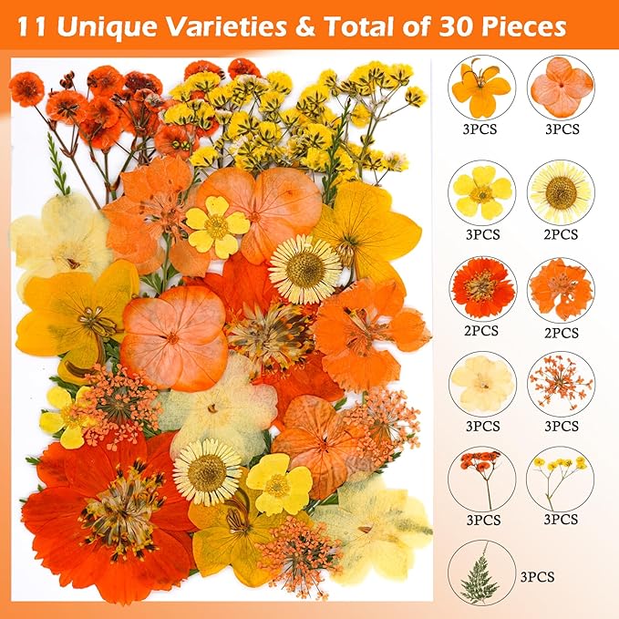 30Pcs Dried Pressed Natural Flowers for Resin Molds Real Pressed Flowers Dry Leaves Bulk Natural Herbs Kit for DIY Scrapbooking Art Crafts Jewelry Molds Candle Soap Making Nails Decor (Orange)
