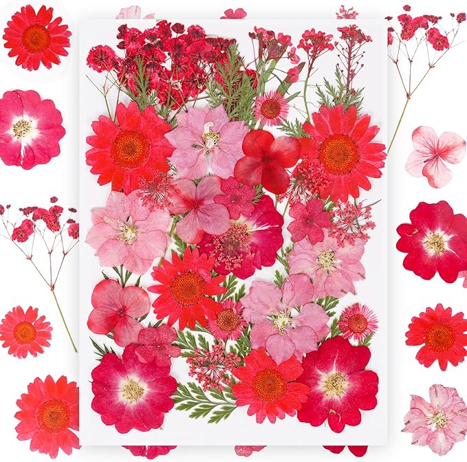 37Pcs Red Dried Pressed Flowers Natural Dried Flowers for Resin,Real Pressed Flowers for Crafts,Dry Flowers for Resin Molds DIY Scrapbookin Candle Jewellery Making
