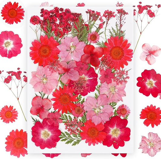 37Pcs Red Dried Pressed Flowers Natural Dried Flowers for Resin,Real Pressed Flowers for Crafts,Dry Flowers for Resin Molds DIY Scrapbookin Candle Jewellery Making