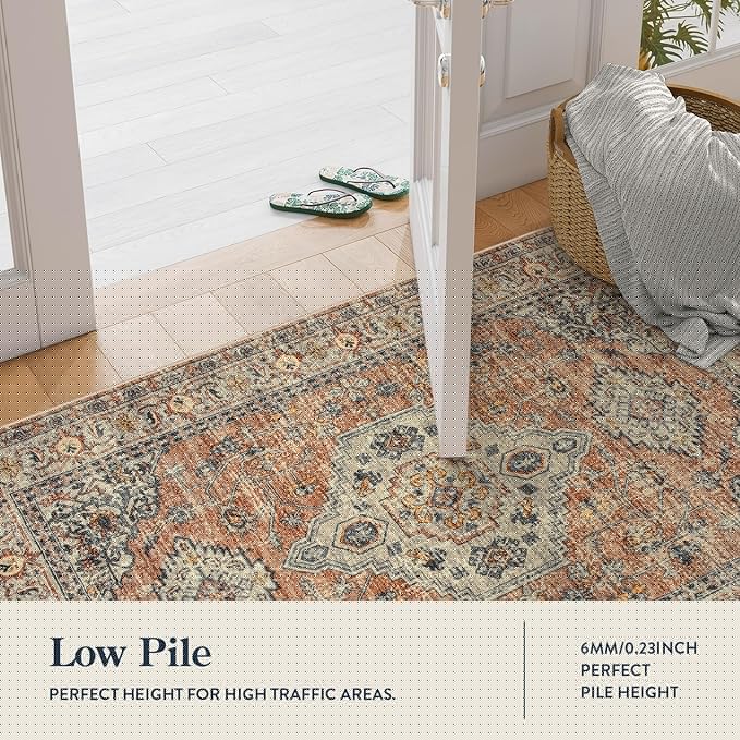 Lahome Oriental Door Mat Indoor Entrance, 2x3 Washable Fall Indoor Rugs for Entryway Soft Small Kitchen Rugs Non Slip Ultra-Thin, Vintage Door Mat Carpet for Bedroom Bathroom, Peach/Orange
