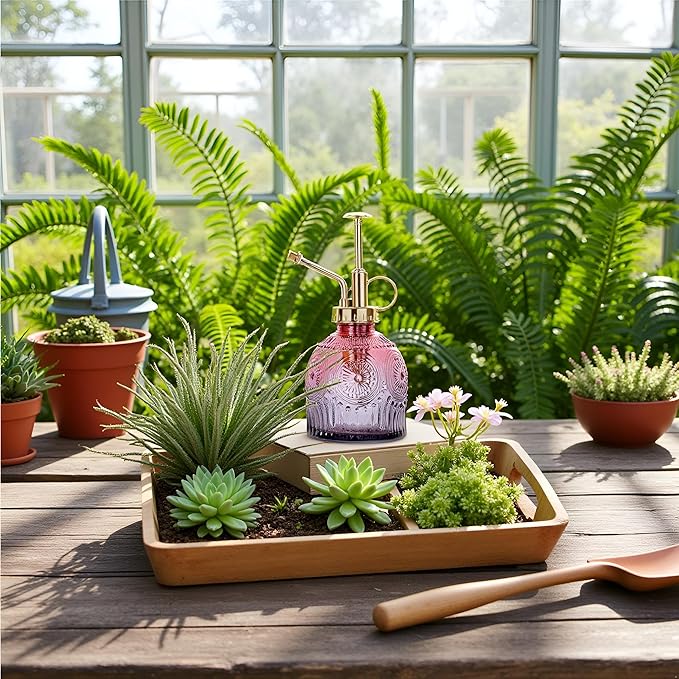 Glass Plant Mister Spray Bottle, 230ML Vintage Plant Spritzer, Succulent Watering Bottle Glass with Top Pump, Small Plants Sprayer Watering Can for Indoor Outdoor House(Red Gray)