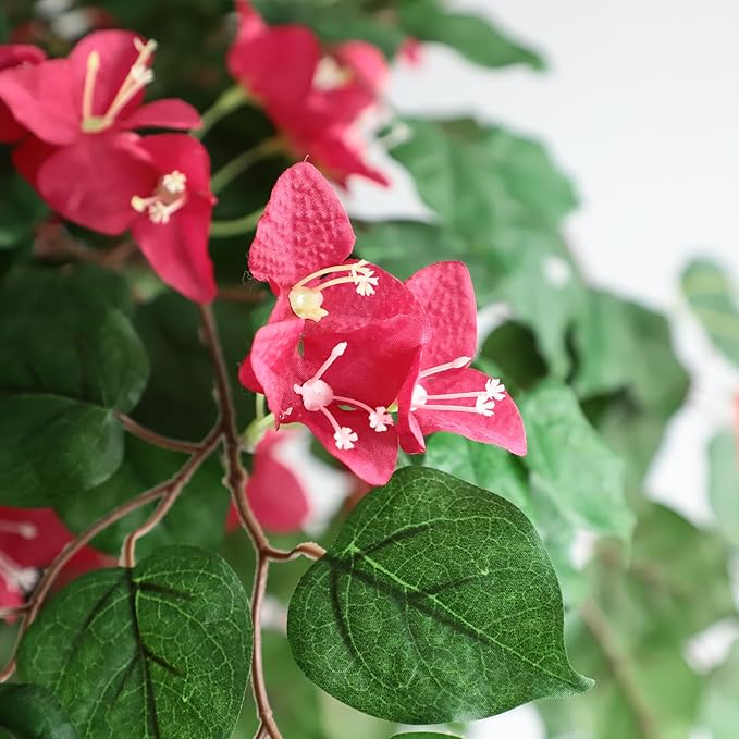 Damomo 5FT Bougainvillea Artificial Tree with Flowers, Fake Bougainvillea Tall Trees, Faux Blooming Tree in Plastic Pot for Indoor Front Porch Decor or Outdoor Home Office, 1 PCS(59 inch)