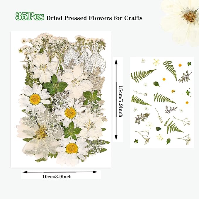 White Dried Pressed Flowers for Crafts,Real Natural Dried Flowers and Leaves for Resin Mold Scrapbooking DIY Candle Making Gifts（Modern Style）