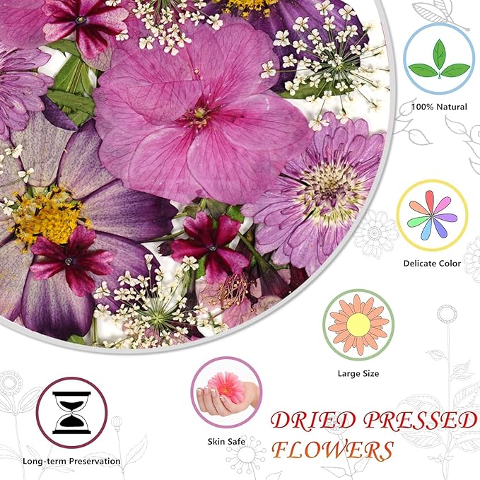 Purple Dried Pressed Flowers Bulk Dried Flowers for Crafts, Real Natural Bulk Dry Flowers for Resin Molds ,for Scrapbooking DIY Candle Soap ewellery Making Gifts