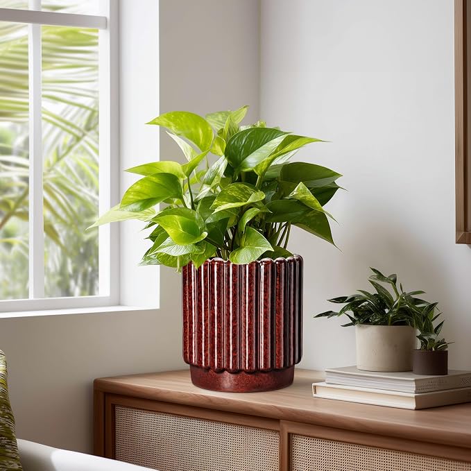 Ceramicfor Ceramic Pots for Plants - 7.6 Inch Indoor Planter, Decorative Plant Pots with Drainage Hole, Fluted Ceramic Flower Pots, Round Planter Outdoor, Patio Decor, Gifts for Plant Lovers, Red