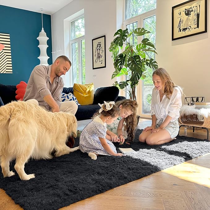 OLANLY 4x5 Machine Washable Accent Rug, Soft Fluffy Shaggy Area Rug for Bedroom, Living Room, Indoor Floor Carpet for Kids, Nursery, Home Decor, Black