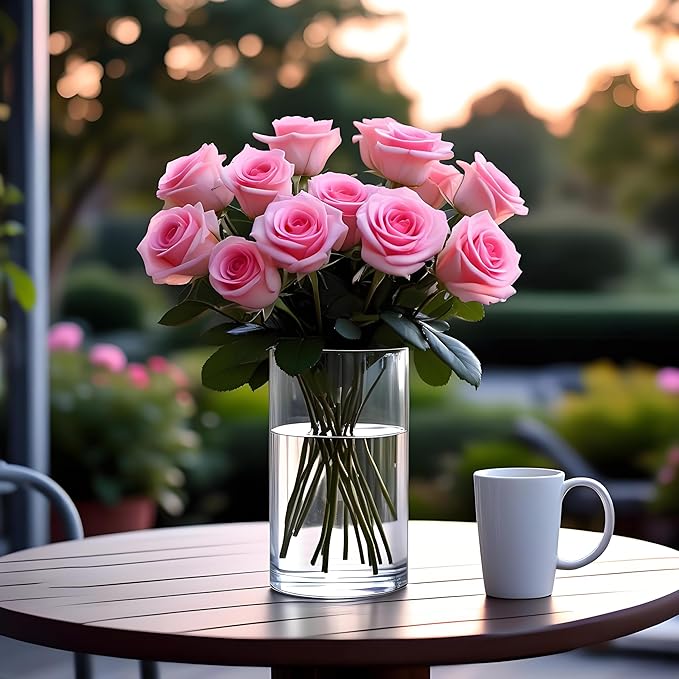 CYS EXCEL (H:12" D:6") Large Cylinder Clear Glass Vase for Wide Bouquet Flower Vase Centerpieces Display Hurricane Floating Candle Holder