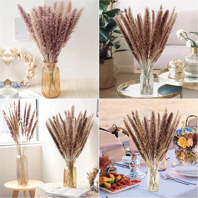 60 Pcs Pampas Grass ,17.7 inch/45cm Natural Dried Pampas Grass Branches Decor for Home Kitchen Garden Party Photographing Flower Arrangement Vase Decor (Natural)…