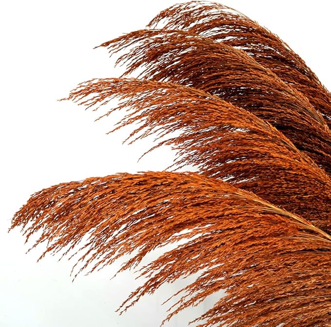 Pampas Grass Decor Tall,Long Pampas, Large Pompas Floral, Elegant Feather Flowers for Wedding Decorations, Living Room Decor (Natural Orange, 6pcs 43.3"(110cm))