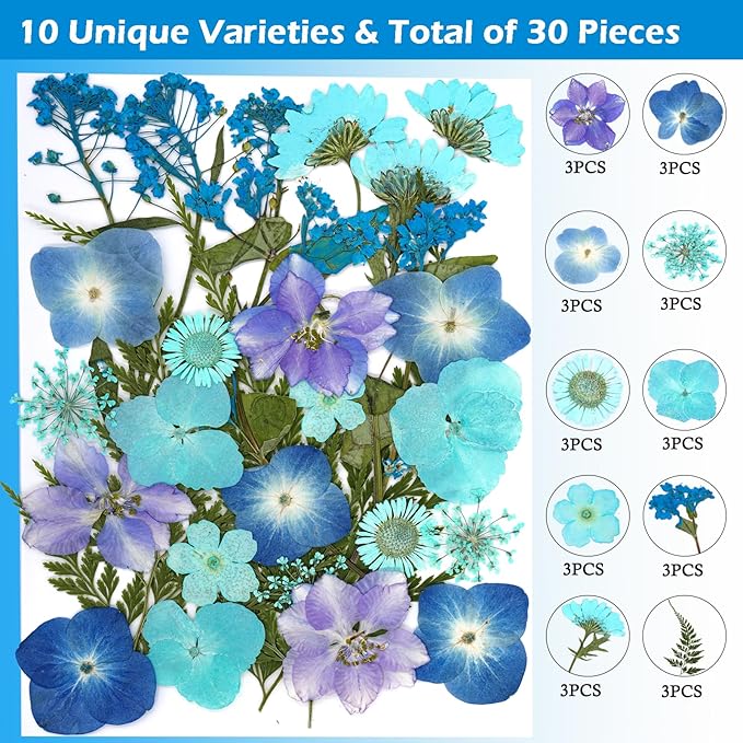 30Pcs Dried Pressed Natural Flowers for Resin Molds Real Pressed Flowers Dry Leaves Bulk Natural Herbs Kit for DIY Scrapbooking Art Crafts Jewelry Molds Candle Soap Making Nails Decor (Blue)