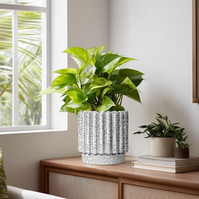 Ceramicfor Ceramic Pots for Plants - 7.6 Inch Ceramic Planter with Drainage Hole, Round Flower Pots for Indoor Plants, Fluted Planter Outdoor, Garden Decor, Birthday Gifts, Black and White