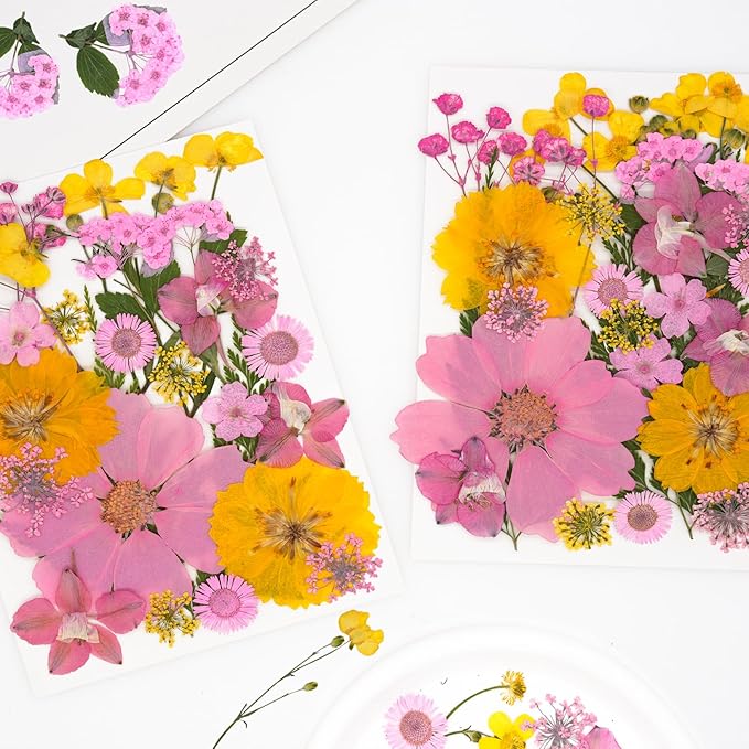 30Pcs Dried Pressed Natural Flowers for Resin Molds Real Pressed Flowers Dry Leaves Bulk Natural Herbs Kit for DIY Scrapbooking Art Crafts Jewelry Molds Candle Soap Making Nails Decor (Yellow+ Pink)