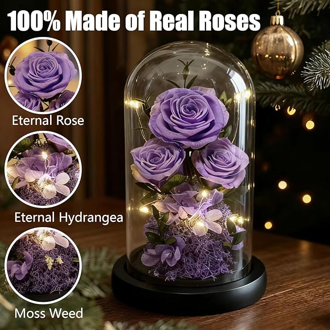 Birthday Gifts for Women Fresh Flowers for Delivery Prime Forever Preserved Rose in Glass Dome Gifts for Her Girlfriend Grandma Daughter Wife Valentines Mothers Day Christmas Anniversary-Light Purple
