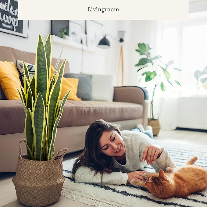 KOL 2ft Artificial Snake Plant, 32 Lifelike Faux PVC Leaves, Indoor Home Garden Decor, Fake Sansevieria Potted Plants, Mother-in-Law Tongue, 25.6in Floor Greenery in Black Pot