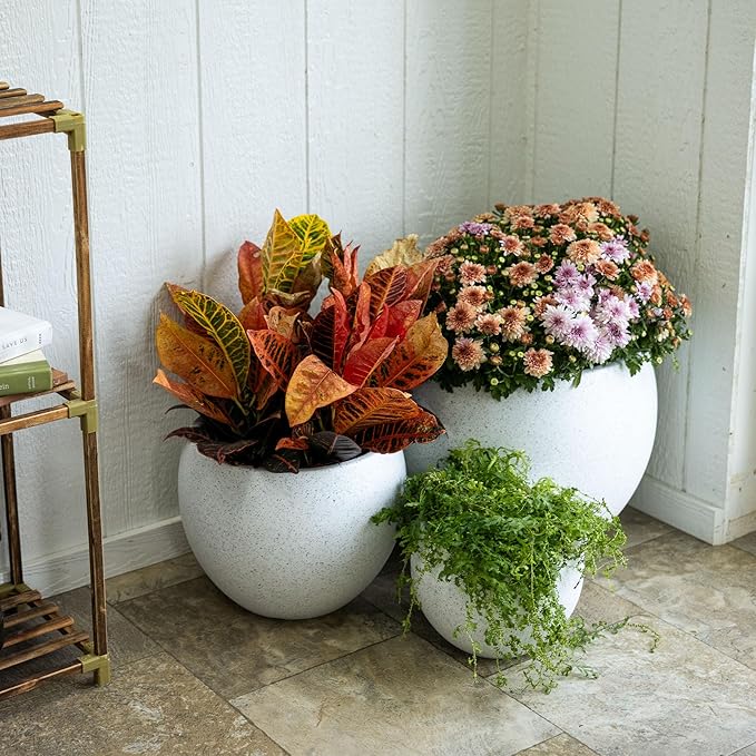 Beuta Large Planters for Outdoor Plants - Set of 3, 8/12/14 Inches Outdoor Planters for Porch - Tall Planter for Outdoor & Indoor Plants | Large Indoor Plant Pot - USA Made - Limewash