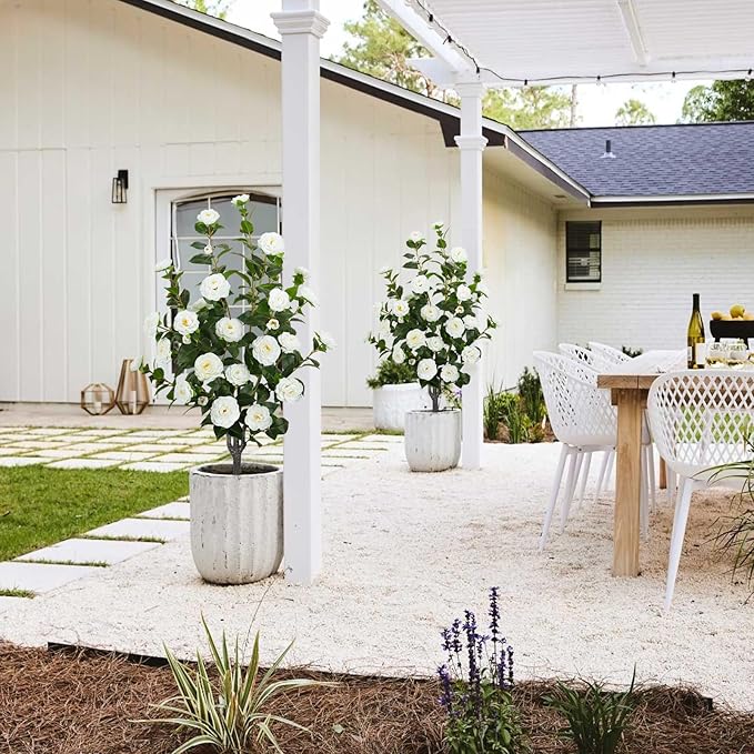 2 Pack 43.3"/3.6FT Artificial Camellia Tree Fake Outdoor Tree with 32 Blooming Flowers White Tree for Home Front Door Winter Christmas Indoor Decor (Including Dried Moss)