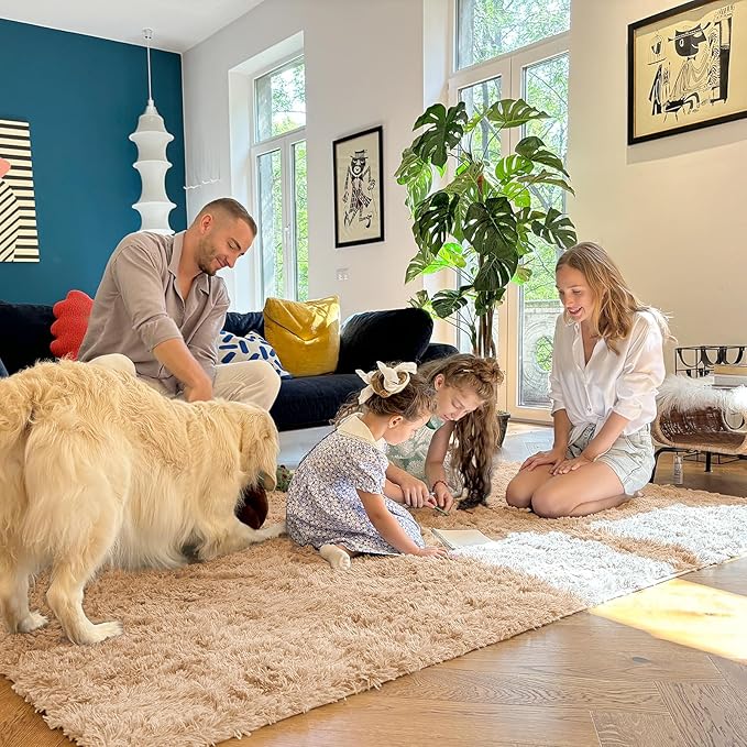 OLANLY 4x5 Machine Washable Accent Rug, Soft Fluffy Shaggy Area Rug for Bedroom, Living Room, Indoor Floor Carpet for Kids, Nursery, Home Decor, Beige