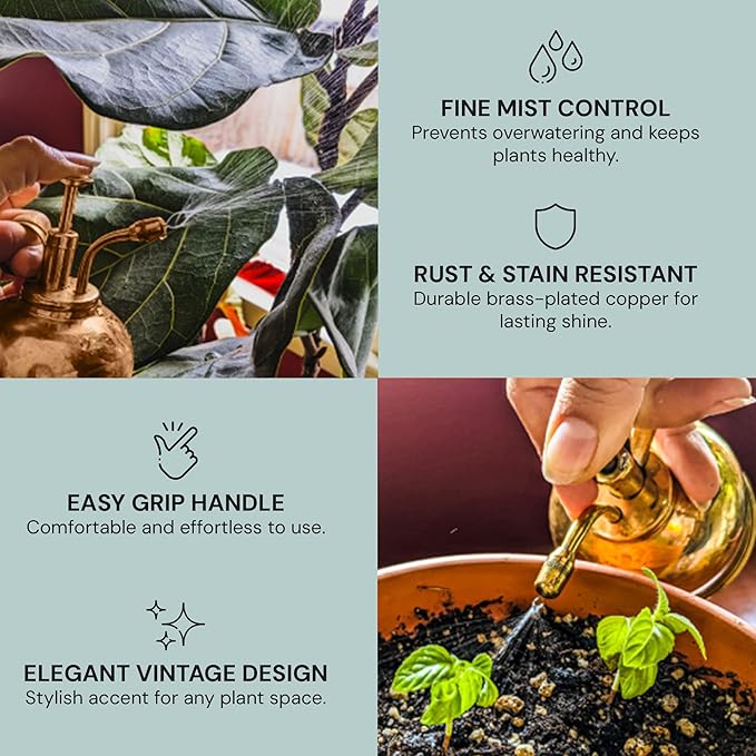 Watering Can Indoor Plants - Copper Plant Mister - Stylish and Rust Resistant Watering Cans for Healthy Hydration - Prevents Overwatering
