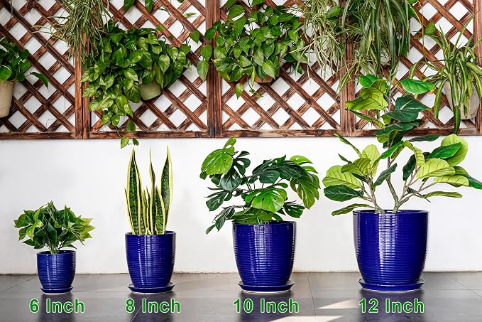 Ceramic Plant Pot - 6 Inch Pots for Plants, Round Ceramic Planters with Drainage Hole and Saucer, Decorative Flower Pots for Indoor Plants, Room Desk Decor, Housewarming Gifts, Glossy Blue