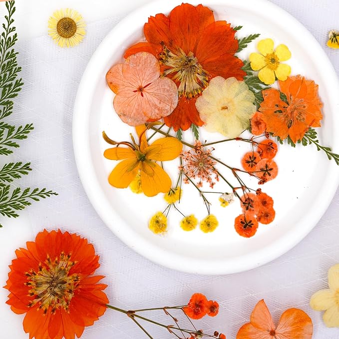 30Pcs Dried Pressed Natural Flowers for Resin Molds Real Pressed Flowers Dry Leaves Bulk Natural Herbs Kit for DIY Scrapbooking Art Crafts Jewelry Molds Candle Soap Making Nails Decor (Orange)