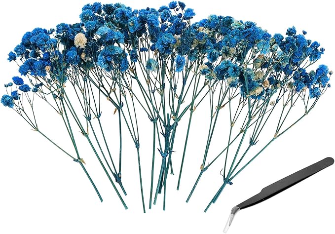 PATIKIL Mini Dried Gypsophila Flower Kit, 30Pcs 4 Inch Dark Blue Natural Pressed Floral Bundles with Tweezer for DIY Resin Crafts Gift Wedding Christmas Card Decor Flower Bouquets