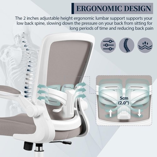 FelixKing Ergonomic Office Chair - Adjustable Height & Lumbar Support | Gray Swivel Desk Chair