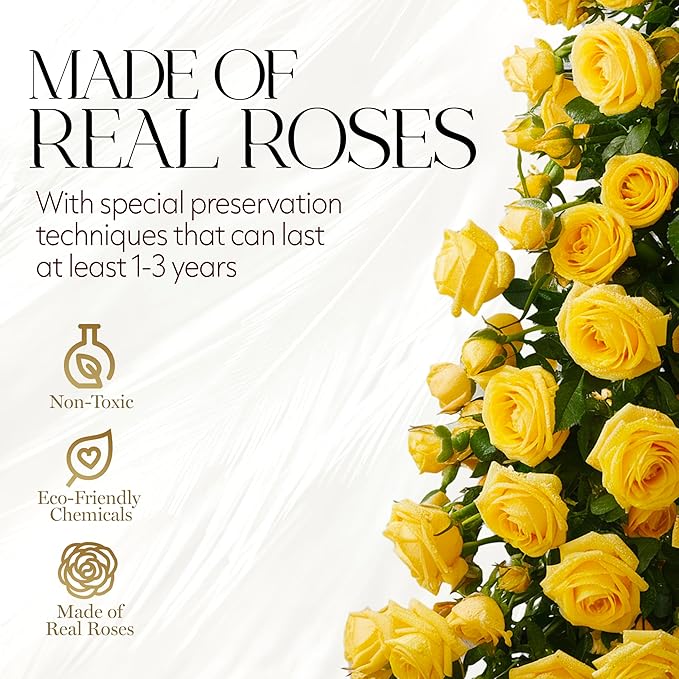 GLAMOUR BOUTIQUE Flowers Forever Gift Box 12 Real Preserved Roses in a Velvet Box, Birthday for Her Mom and Wife, Mothers Day, Anniversary, Graduation - Yellow