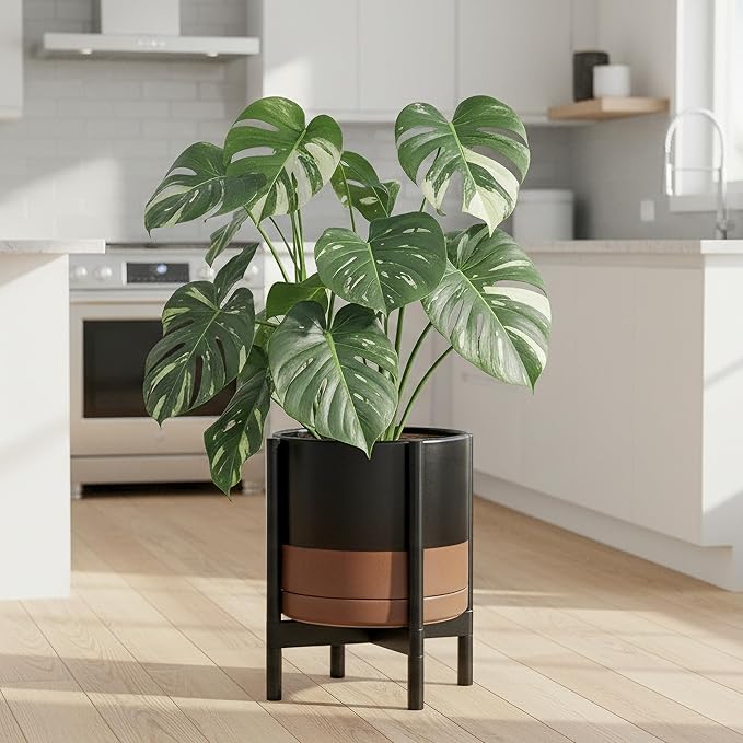 D'vine Dev Ceramic Planter with Ebony Stand - 12 Inch Modern Round Flower Pot with Wood Planter Holder, Black/Speckled Tan, 55-B-H-7