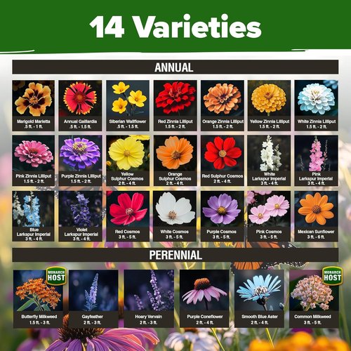 HOME GROWN Premium Monarch Butterfly Wildflower Seeds Mix - 20,000+ Non-GMO Perennial Seeds for Pollinator Gardens (2oz)
