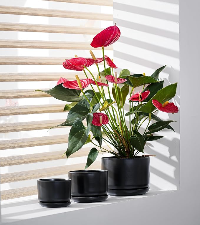 Ton Sin Black Ceramic Pots for Plants, 4.4+5.4+6.9 Inch, Planters with Drainage Hole and Saucer, Indoor Flower Pots for Succulents, African Violets, Small House Plants
