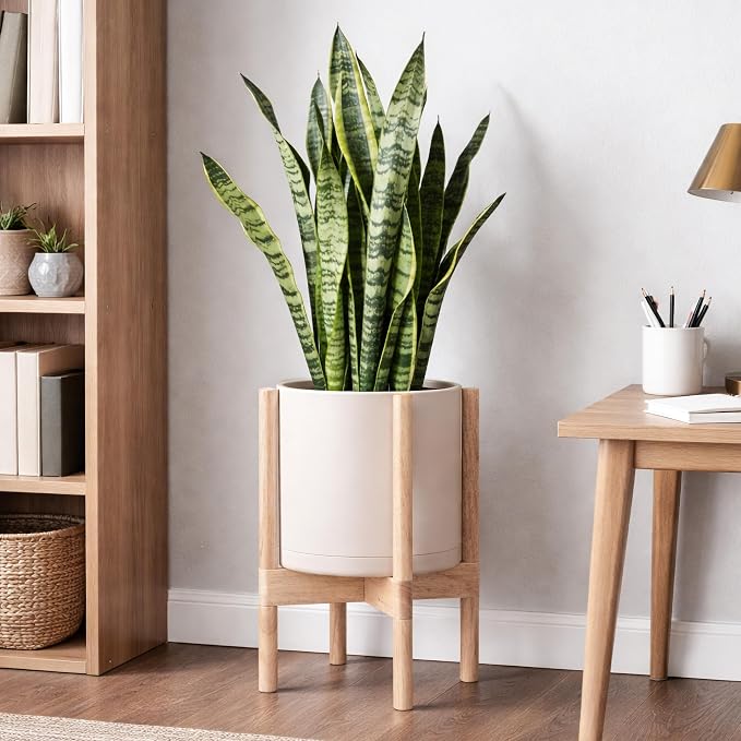 D'vine Dev Planter Pot with Stand - 10 Inch Plastic Cylinder Flower Pot with Wood Planter Holder for Indoor, Oatmeal Pot + Natural Stand, 55-C-M-4
