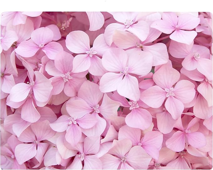 Pink Hydrangea Floral Pattern Flower Love Kitchen Glass Cutting Board Decorative Valentine's Mother's Day Gift For Her Flowers (Pink Hydrangea)