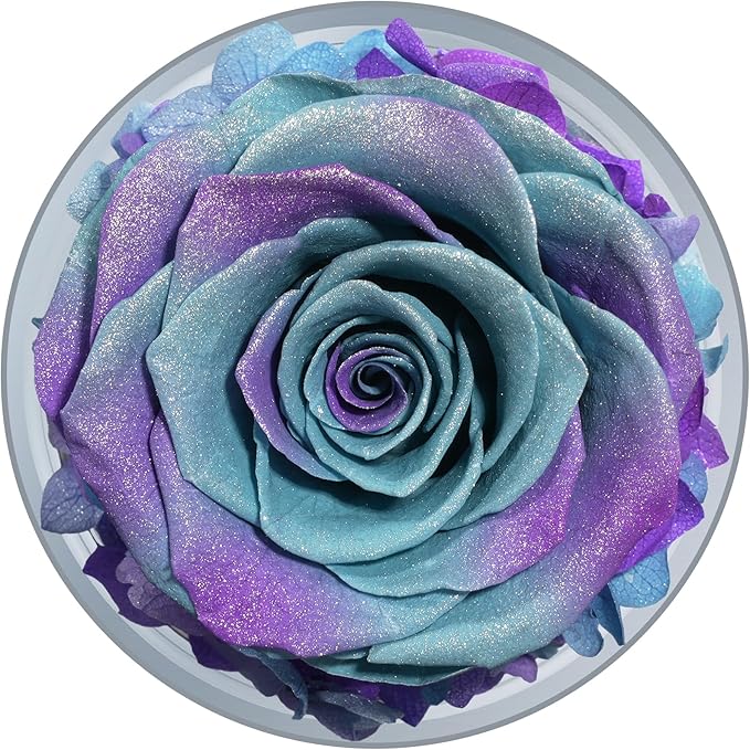Sunia Preserved Flower Rose Gift for Women - Mother's Day Birthday Gifts for Mom Wife Grandma, Glass Angel Figurines Forever Real Roses Gifts for Her Valentine Day Thanksgiving﻿ (Starry Sky)