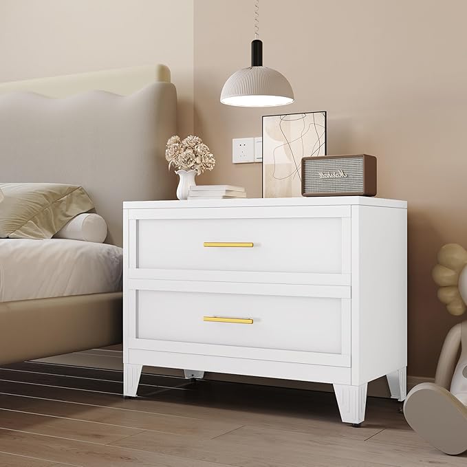 24.8" Tall Metal Dresser for Bedroom, 2 Drawer Nightstand, Side Table, Under Desk Steel Storage Drawer Cabinet, File Drawer for Home Office,Living Room, Entryway, Hallway